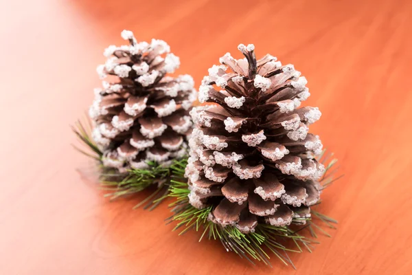 Two fir cones — Stock Photo, Image