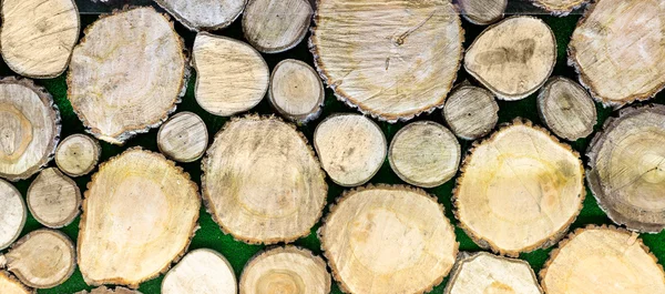 Wooden logs closeup — Stock Photo, Image