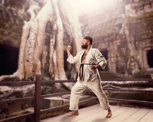 Grasso karate combattente — Foto Stock