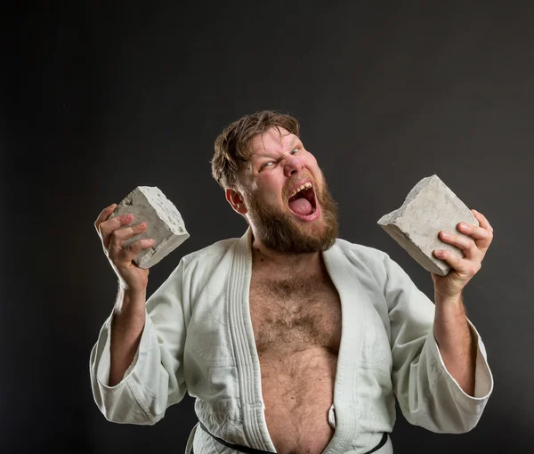 Strong karateka with brick — Stock Photo, Image