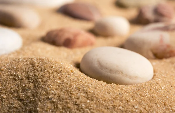 Pebbles on the summer beach — Stock Photo, Image