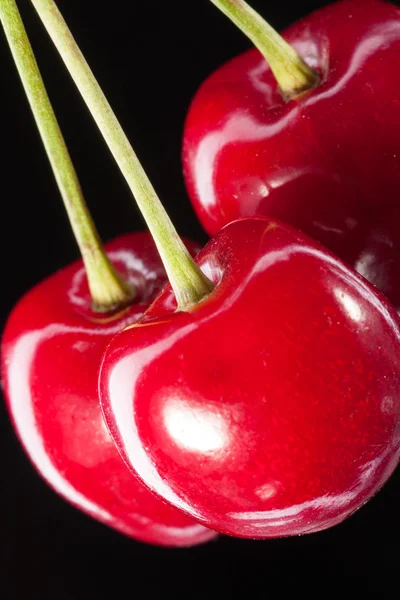 Three berries of cherry — Stock Photo, Image