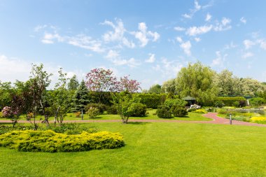 Güzel yeşil park