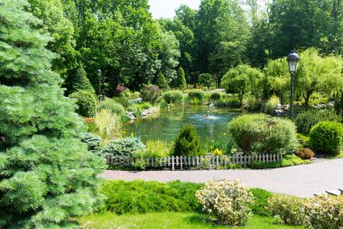 Yeşil Bahar park su birikintisi