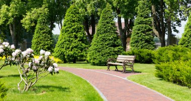 Bench in  park and  brick path