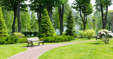 Long stone pavement with bench