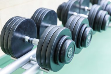 Dumb-bells on  stand in the gym