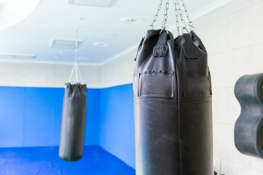 Black punching bags in the gym