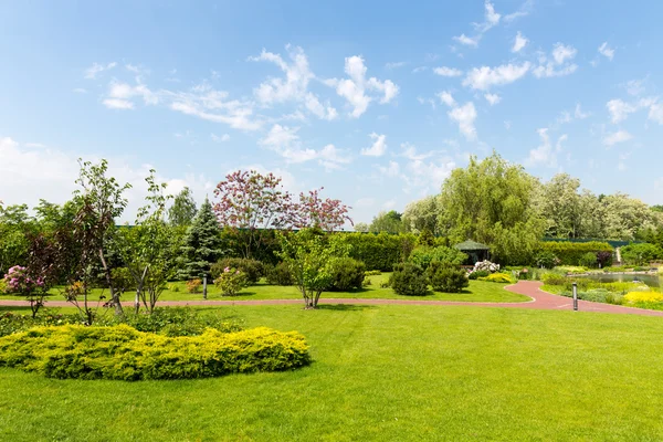 Vacker grön park — Stockfoto