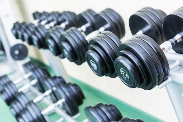 Dumb-bells on the stand in gym — 스톡 사진