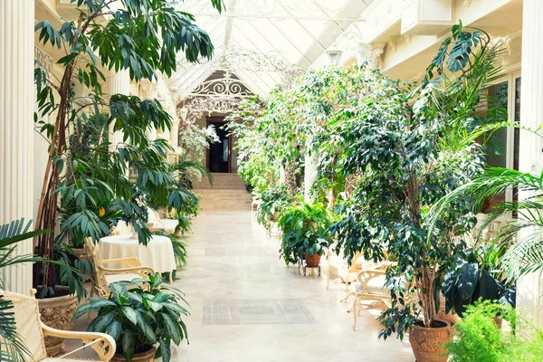Corridor of  plant gallery — Stok fotoğraf