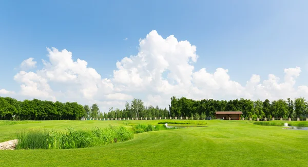 Green park with little lake — Stock Photo, Image