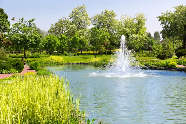 Озеро в весеннем парке с фонтаном — стоковое фото