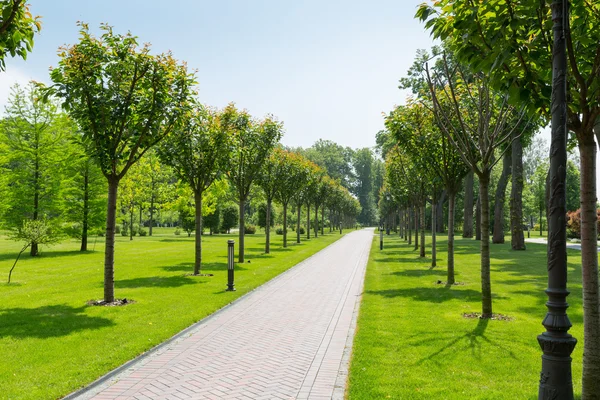 Lång sten trottoaren gränd — Stockfoto