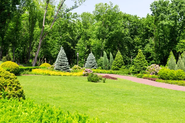 Beautiful green spring park — Stock Photo, Image