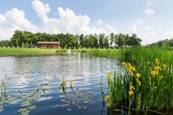 Lago en el verde parque de verano — Foto de Stock
