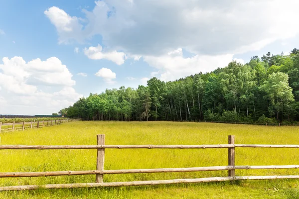 Landscape with wattle fence — Stock Photo, Image