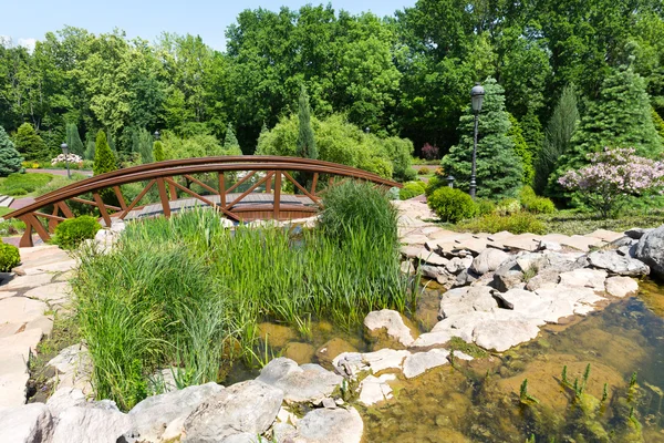 Pond in spring green park — Stock Photo, Image