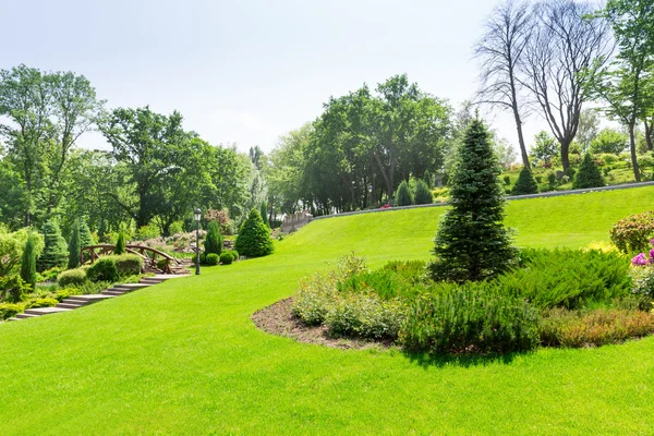 Hermoso parque verde de primavera — Foto de Stock