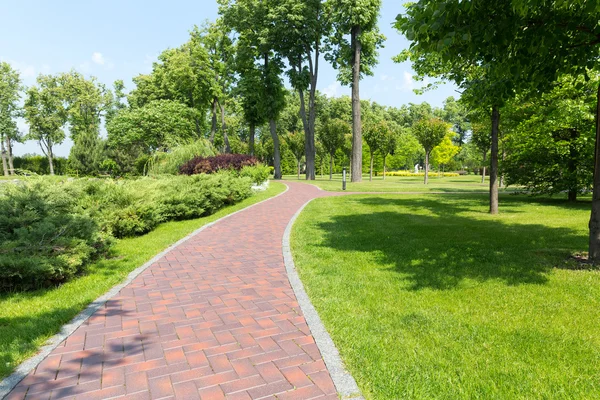 :Lange Kurvengasse im Park — Stockfoto