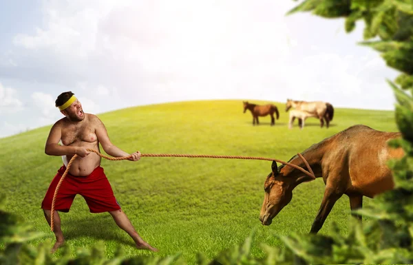 Man pulls horse with rope — Stock Photo, Image