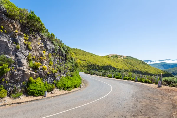 Droga w góry zielone lato — Zdjęcie stockowe