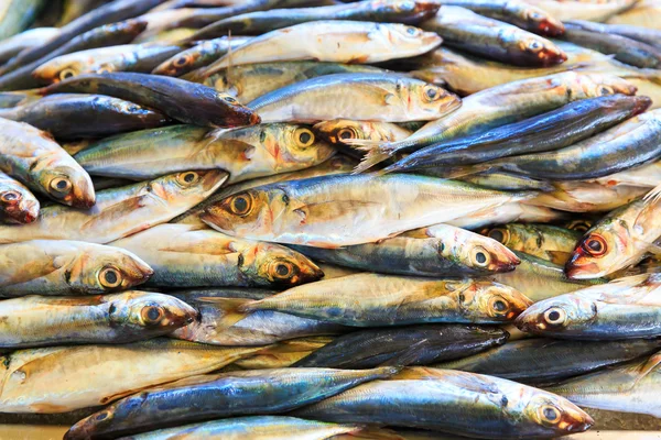 Heap of fresh fish — Stock Photo, Image