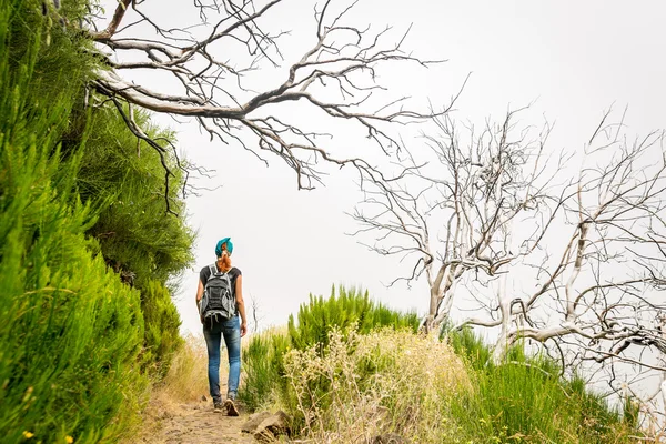 पहाड़ों में महिला यात्री hiking — स्टॉक फ़ोटो, इमेज