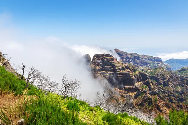 Schöne Berge in Wolken — Stockfoto