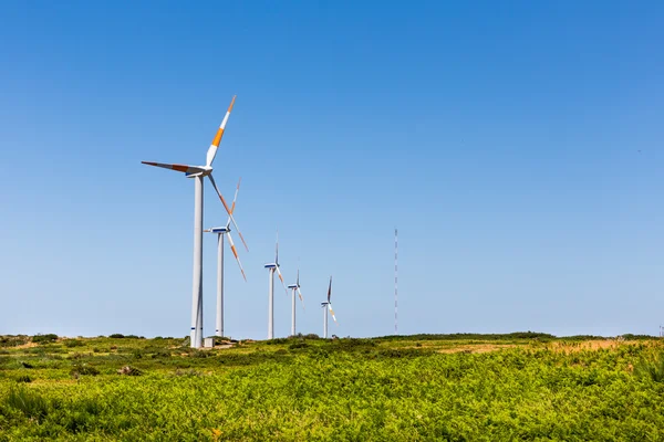 Windmills in the valley — Stock Photo, Image