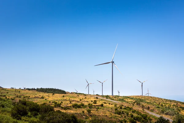 Windmills in the valley — Stock Photo, Image