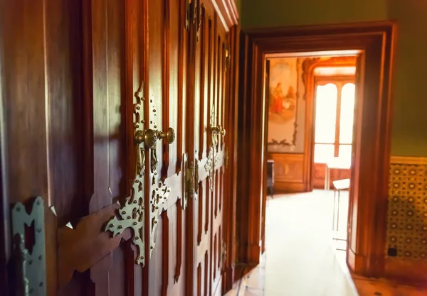 Luxuosas portas de madeira — Fotografia de Stock