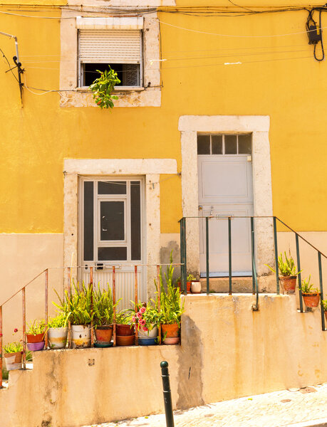 Вход с цветочными горшками
