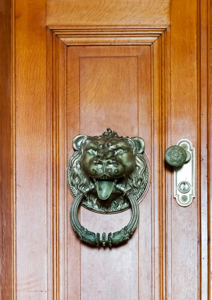 Lion metal knob — Stock Photo, Image