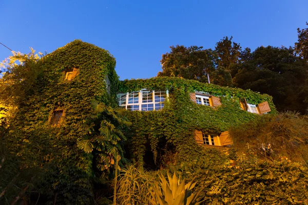 Huis begroeid met klimop — Stockfoto