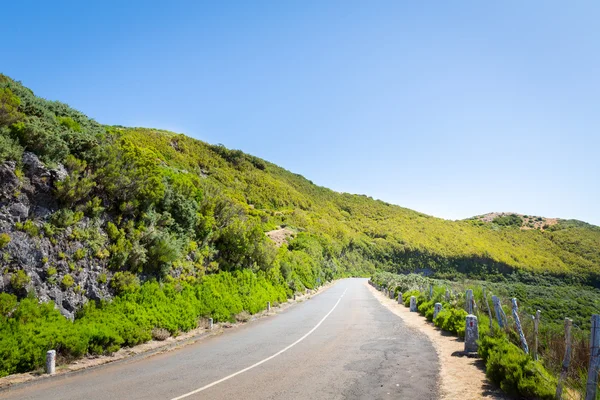 Road in green summer mountains — Stock Photo, Image