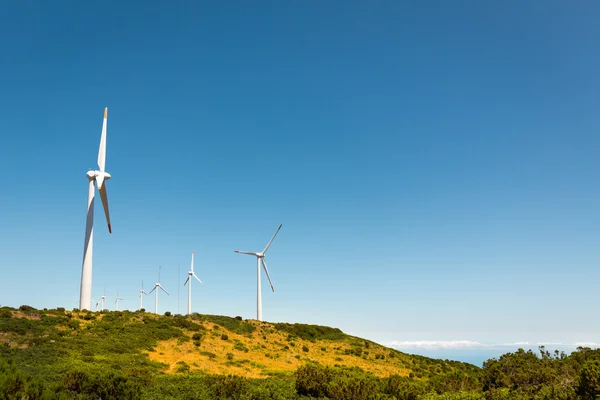 Ветряные мельницы в зеленой долине — стоковое фото