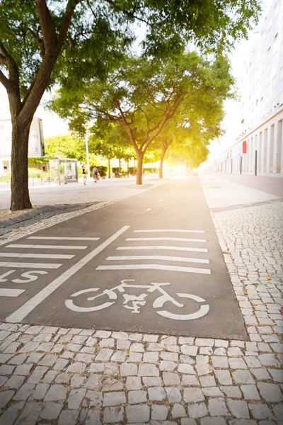 Pista para ciclista no parque — Fotografia de Stock