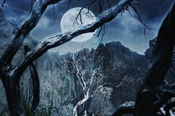 Grausamer Wald in der Nacht — Stockfoto