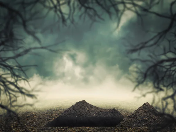 Open grave in the forest — Stock Photo, Image