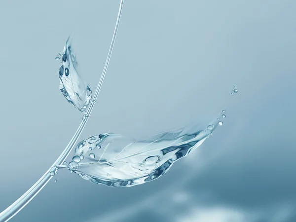 mavi su yaprakları ve gölge