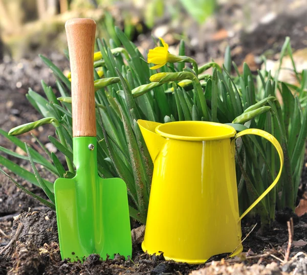 Colorful gardening tools — Stock Photo, Image