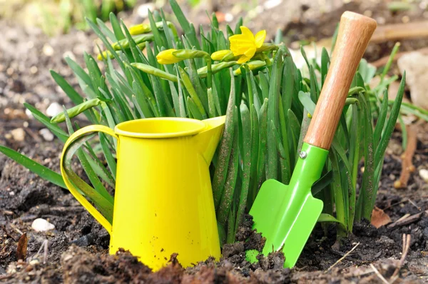 Färgglada trädgårdsredskap — Stockfoto