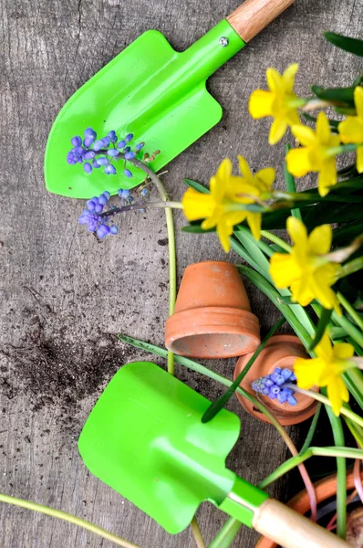 Primavera giardinaggio concetto — Foto Stock