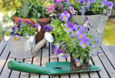 Çiçek bahçesinde Çömlekçilik 