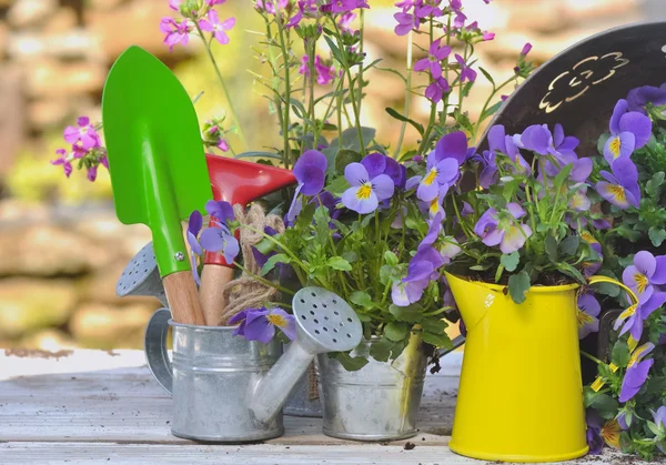 Gardening tools among flowers — Stock Photo, Image