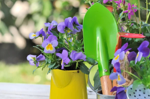 Herramientas de jardinería entre las flores — Foto de Stock