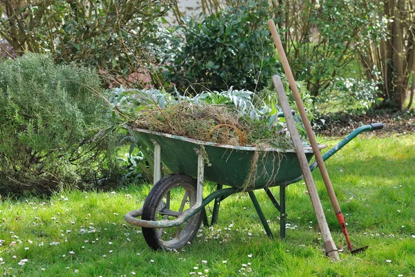 Mauvaises herbes de jardin dans brouette — Photo