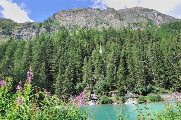 Гора с озером летом — стоковое фото