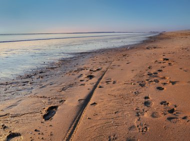 alacakaranlıkta büyük plaj